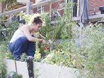 Le jardin partagé du Shakirail Le jardin partagé du Shakirail